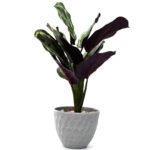 Little Luxe Leaves Vase, Fake Leaves, Silk Leaves Arrangements for Home ,Office Parties