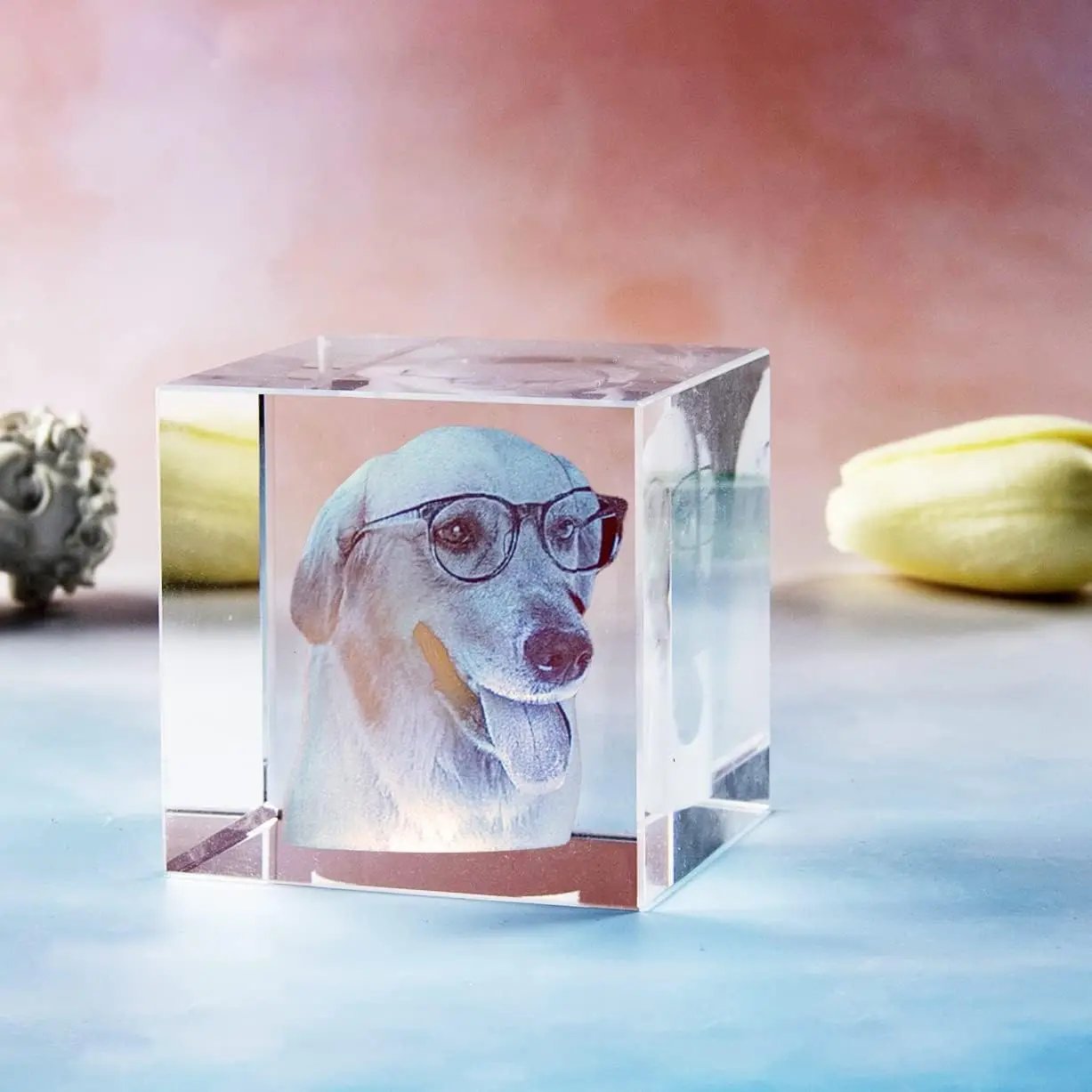 Personalized Sympathy Tribute Custom Gift for Loss of Beloved Pet with Crystal Decor Keepsake Offering for Departed Loved One