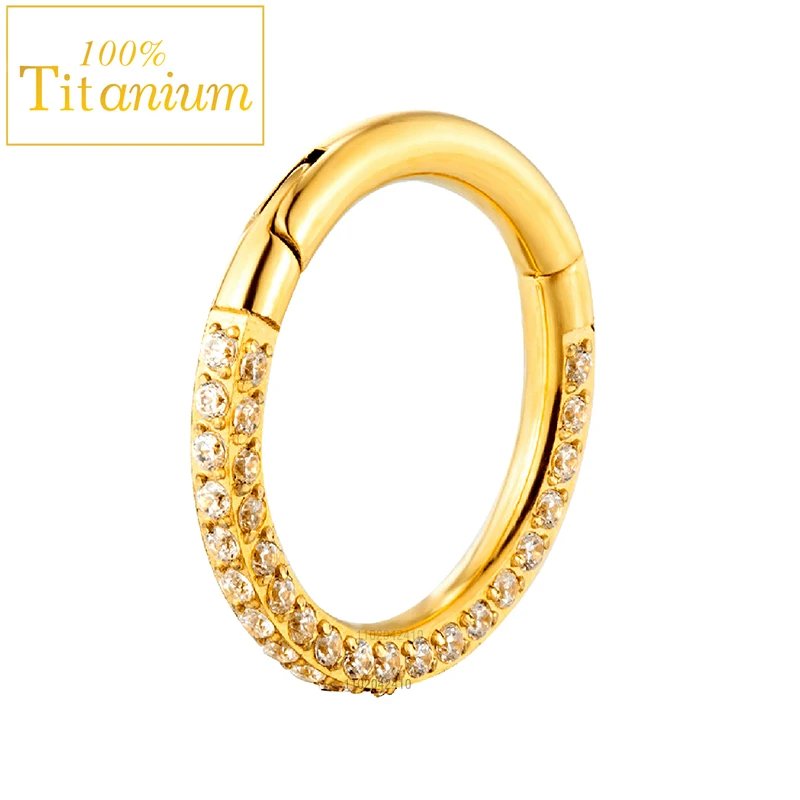 Septum Hoop Piercing Three Side Zircon Nose Ring F136 Titanium Hinged Segment Helix Cartilage Earrings High Quality Body Jewelry