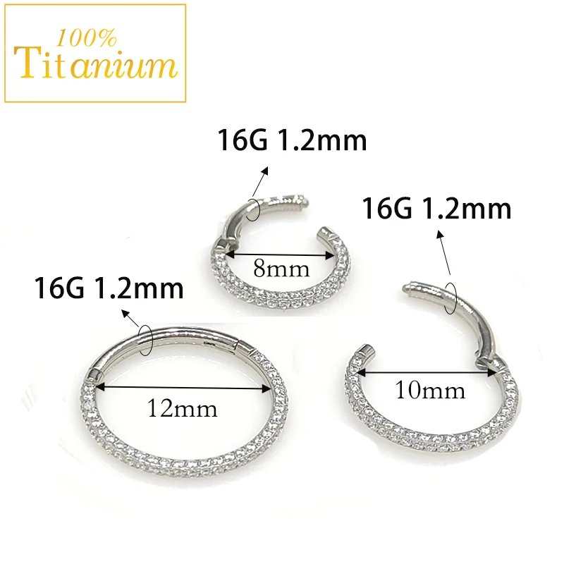 Septum Hoop Piercing Three Side Zircon Nose Ring F136 Titanium Hinged Segment Helix Cartilage Earrings High Quality Body Jewelry