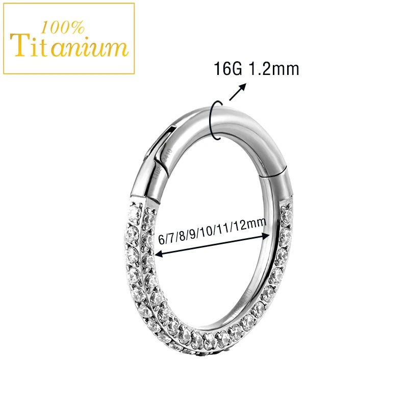 Septum Hoop Piercing Three Side Zircon Nose Ring F136 Titanium Hinged Segment Helix Cartilage Earrings High Quality Body Jewelry