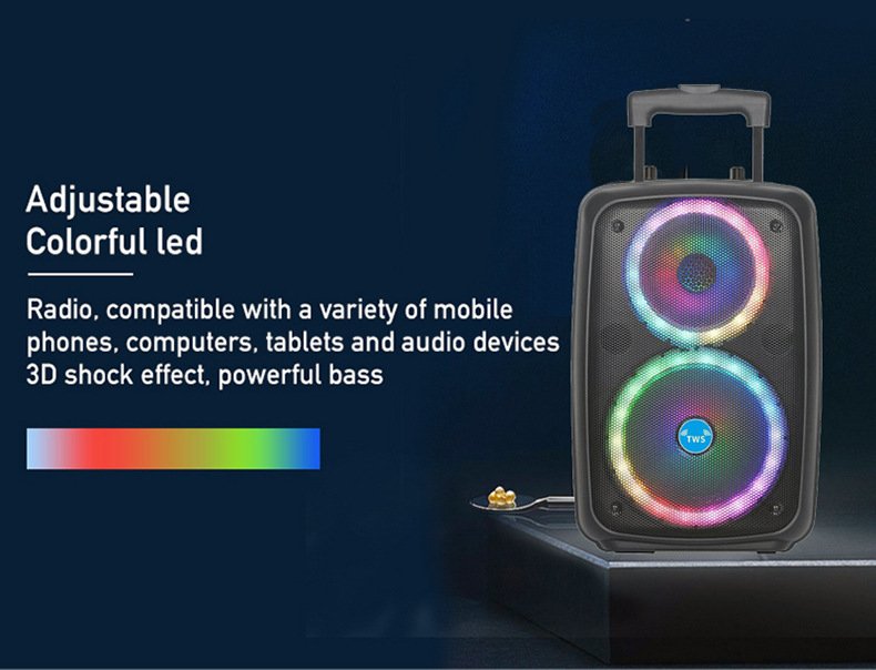 LED Trolley Box Party Speaker 2000W Peak Power 8 Inch Outdoor Portable FM Radio Bluetooth Speakers With Wired Mic Caixa De Som