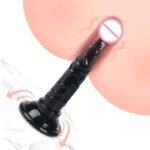 Translucent Soft Dildos Realistic Jelly Dildos 5 Color Option Small Dildo Simulation Penis Mini Dildo Toy Sex Toys for Woman - Image 2