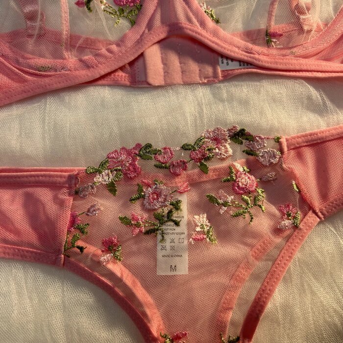 Floral Ropa Intima De Mujer Lenceria Women Lingerie Set Sexy Exotic See Through Bra And Panty Sets Embroidery Tangas Briefs Sets - Image 2