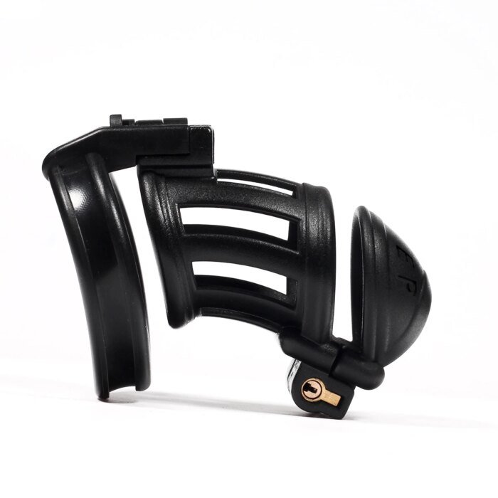 Double Lock Cock Cage,Penis Rings,Chastity Lock,Male Chastity Device,Restraints Penis Cage,Adult Sex Toys For Man Gay 18+ - Image 2