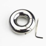 Custom Size+19 Sizes Stainless Steel Scrotum Pendant Penis Cock Ring Restraint Chastity Device Testicle Penis Training  BB2-80 - Image 5