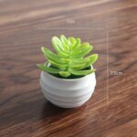 Mini Artificial Aloe Plants Bonsai Small Simulated Tree Pot Plants Fake Flowers Office Table Potted Ornaments Home Garden Decor - Image 6