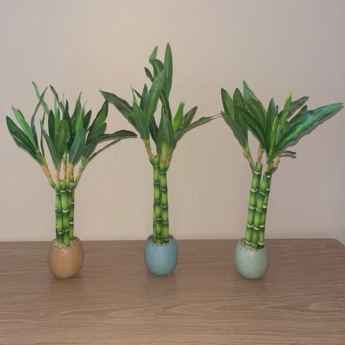 Artificial plants green lucky bamboo fake bonsai horticulture outdoor living room table aesthetic space wedding home decoration - Image 5