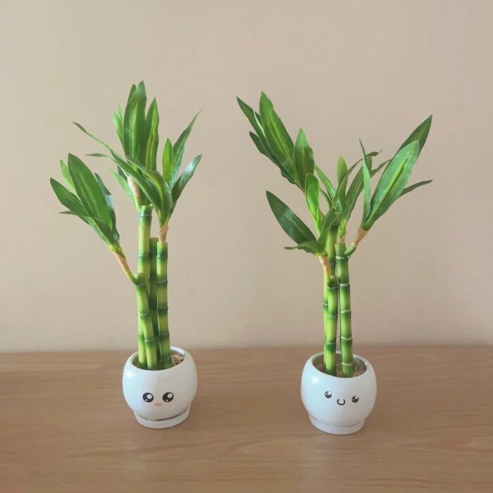 Artificial plants green lucky bamboo fake bonsai horticulture outdoor living room table aesthetic space wedding home decoration - Image 1