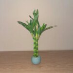 Artificial plants green lucky bamboo fake bonsai horticulture outdoor living room table aesthetic space wedding home decoration - Image 2