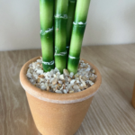 Artificial plants green lucky bamboo fake bonsai horticulture outdoor living room table aesthetic space wedding home decoration - Image 6
