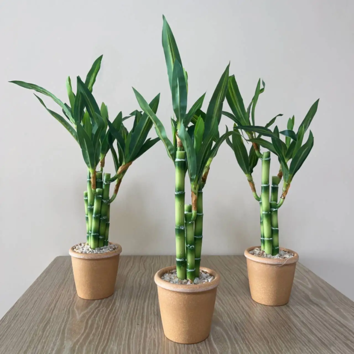 Artificial plants green lucky bamboo fake bonsai horticulture outdoor living room table aesthetic space wedding home decoration - Image 4