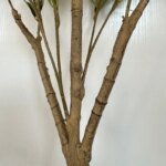 1.2/1.5/1.8m Artificial Olive Tree PVC Soft Rubber European-style Home Hotel Floor Bonsai Decoration Artificial Green Olive Tree - Image 4