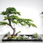 Artificial Greeting Pine Podocarpus Macrophyllus Fake Trees Greenery Bonsai  Hall New Chinese Style Soft Decoration Ornaments - Image 2