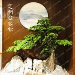 Artificial Greeting Pine Podocarpus Macrophyllus Fake Trees Greenery Bonsai  Hall New Chinese Style Soft Decoration Ornaments - Image 6