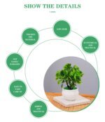 Small Simulated Tree Artificial Plants Bonsai Pot Plants for Office Table Potted Ornament Office Home Desk adornos decorativos - Image 5