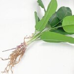 Artificial Banana Tree Green Simulation Palm Tree Plastic Plants Fake Shrub Wedding Hotel Balcony Party Home Decor Accessories - Image 6