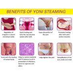 30pc/bag Yoni Steam Seat Detox Feminine Health Hygiene Yoni SPA Steam Herbs For Tampon 100% Chinese Herbal Women Vagina Cleaning - Image 3